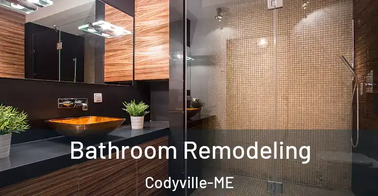 inner Bathroom imggen Bathroom Remodeling Codyville-ME