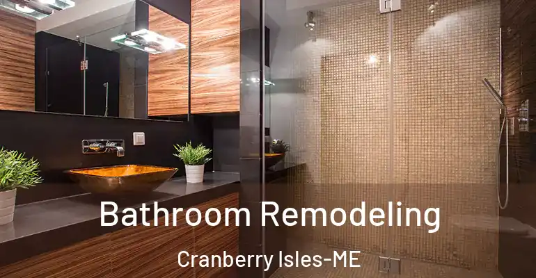 inner Bathroom imggen Bathroom Remodeling Cranberry Isles-ME