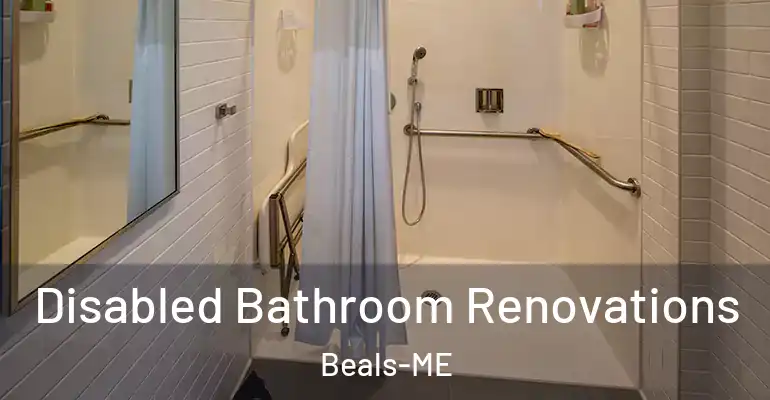 inner Bathroom imggen Disabled Bathroom Renovations Beals-ME