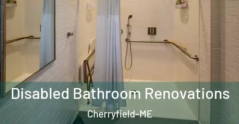 inner Bathroom imggen Disabled Bathroom Renovations Cherryfield-ME