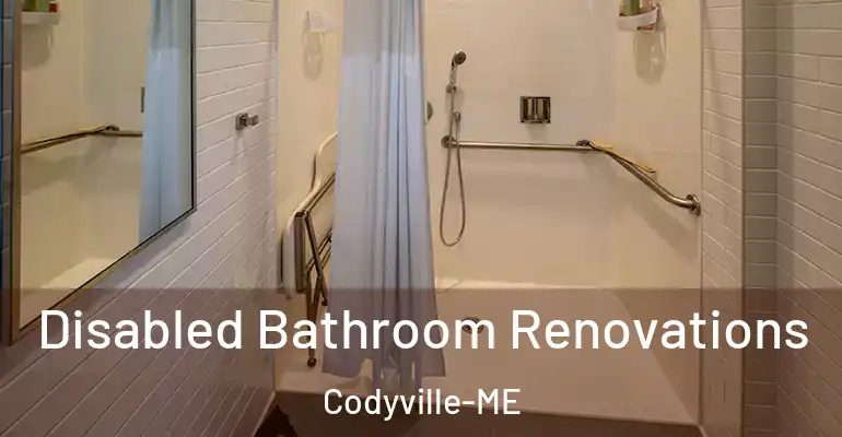 inner Bathroom imggen Disabled Bathroom Renovations Codyville-ME
