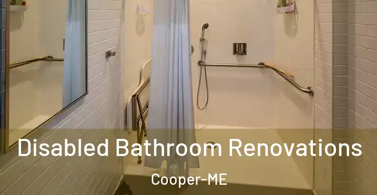inner Bathroom imggen Disabled Bathroom Renovations Cooper-ME