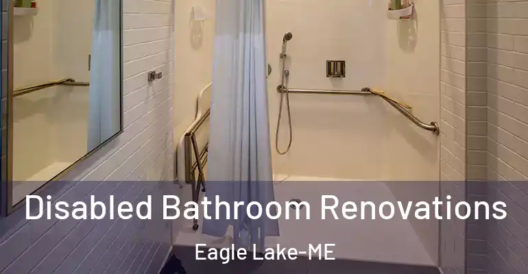 inner Bathroom imggen Disabled Bathroom Renovations Eagle Lake-ME
