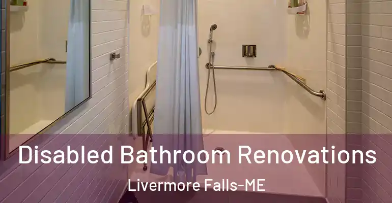 inner Bathroom imggen Disabled Bathroom Renovations Livermore Falls-ME