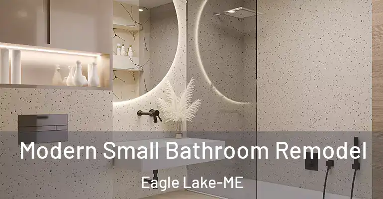 inner Bathroom imggen Modern Small Bathroom Remodel Eagle Lake-ME