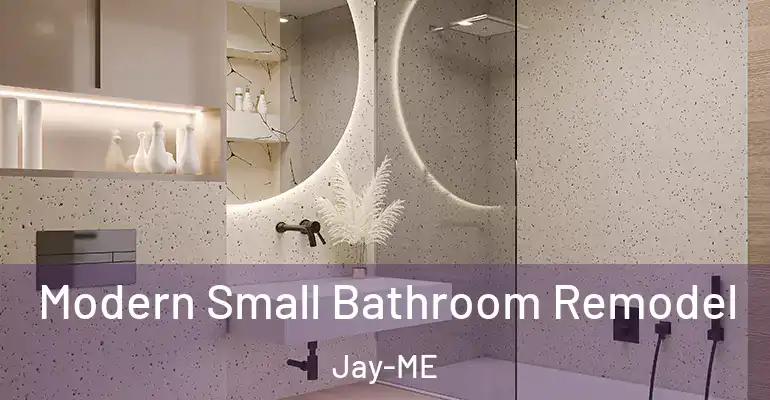 inner Bathroom imggen Modern Small Bathroom Remodel Jay-ME
