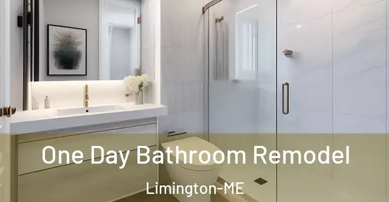 inner Bathroom imggen One Day Bathroom Remodel Limington-ME