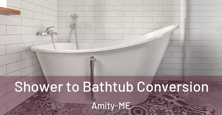 inner Bathroom imggen Shower to Bathtub Conversion Amity-ME