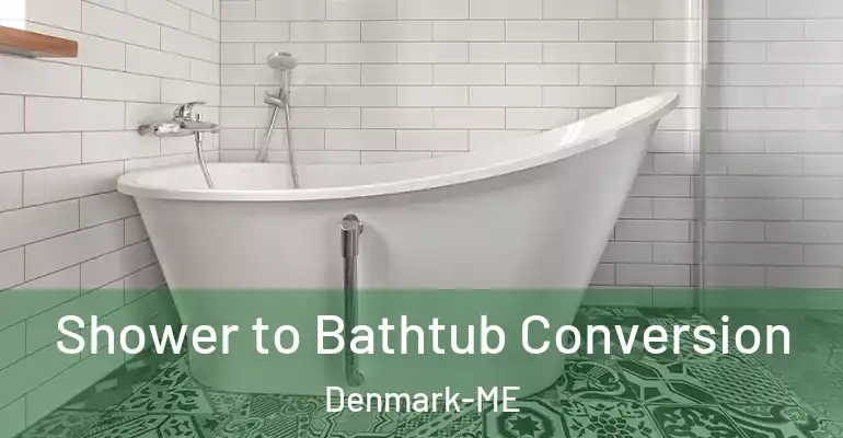 inner Bathroom imggen Shower to Bathtub Conversion Denmark-ME