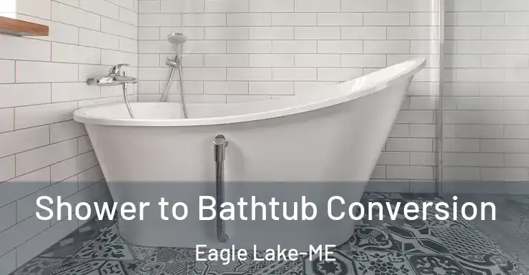 inner Bathroom imggen Shower to Bathtub Conversion Eagle Lake-ME