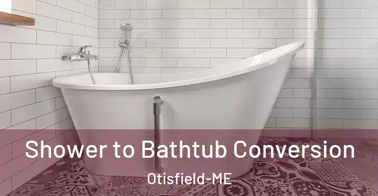 inner Bathroom imggen Shower to Bathtub Conversion Otisfield-ME