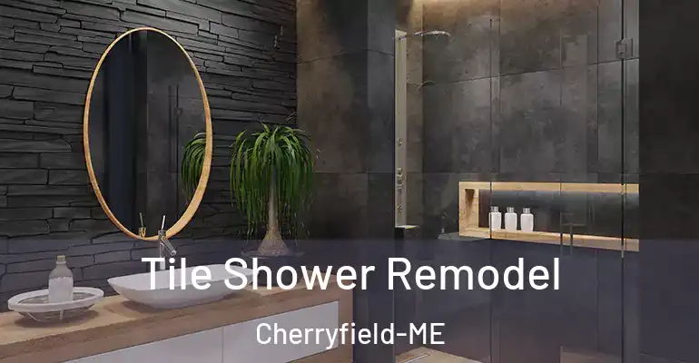 inner Bathroom imggen Tile Shower Remodel Cherryfield-ME