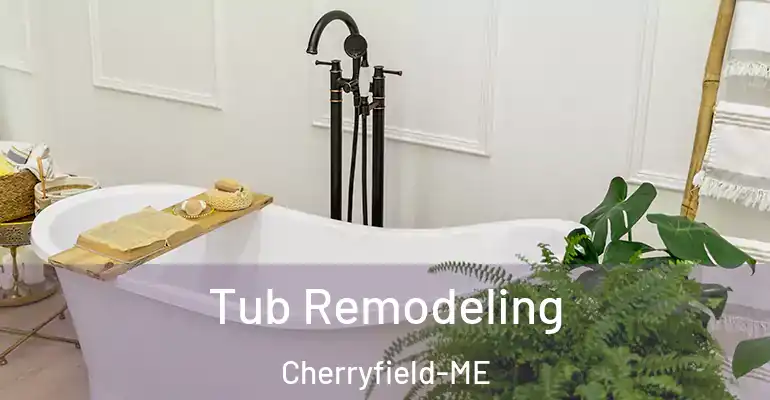 inner Bathroom imggen Tub Remodeling Cherryfield-ME