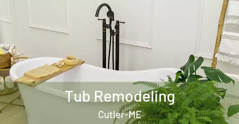 inner Bathroom imggen Tub Remodeling Cutler-ME