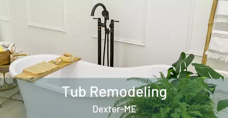 inner Bathroom imggen Tub Remodeling Dexter-ME
