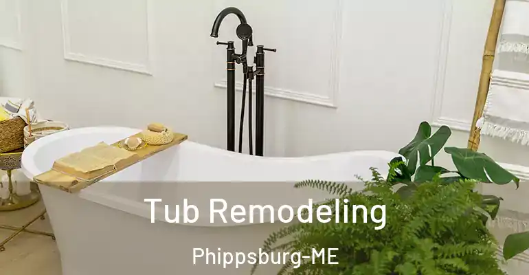 inner Bathroom imggen Tub Remodeling Phippsburg-ME