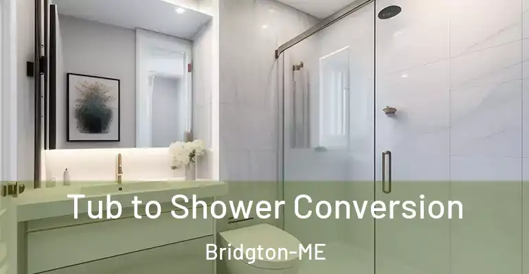 inner Bathroom imggen Tub to Shower Conversion Bridgton-ME