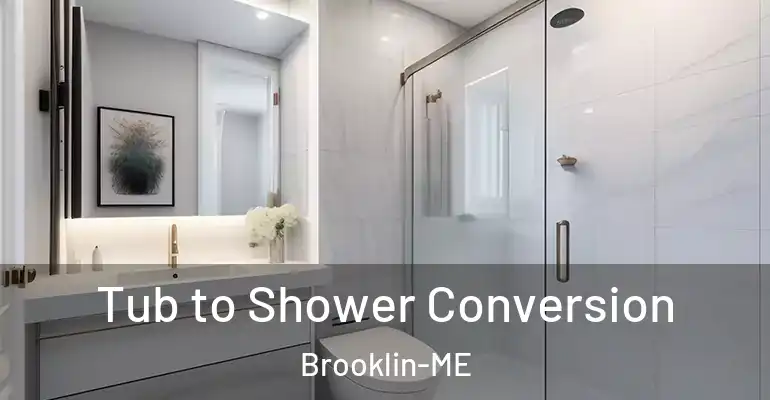 inner Bathroom imggen Tub to Shower Conversion Brooklin-ME