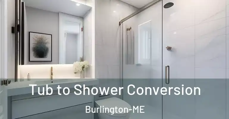inner Bathroom imggen Tub to Shower Conversion Burlington-ME