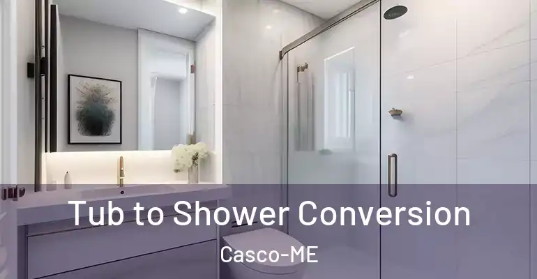 inner Bathroom imggen Tub to Shower Conversion Casco-ME
