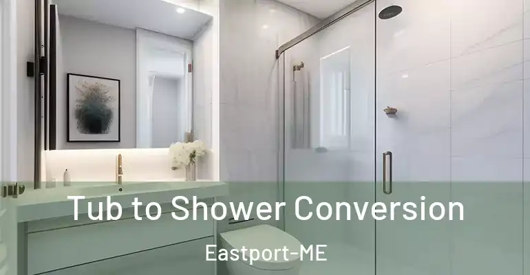 inner Bathroom imggen Tub to Shower Conversion Eastport-ME
