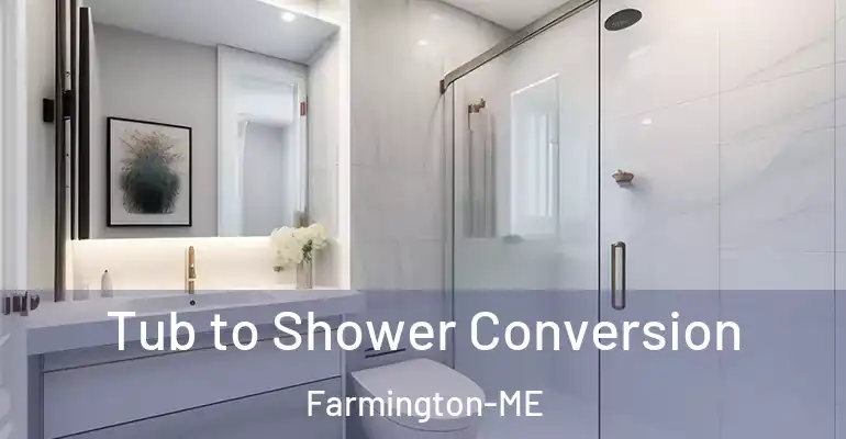 inner Bathroom imggen Tub to Shower Conversion Farmington-ME