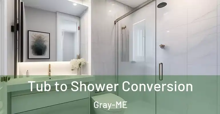 inner Bathroom imggen Tub to Shower Conversion Gray-ME
