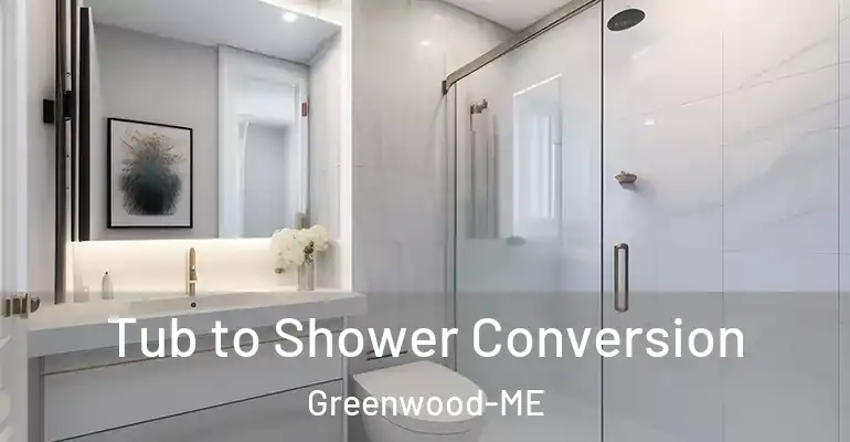 inner Bathroom imggen Tub to Shower Conversion Greenwood-ME
