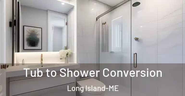 inner Bathroom imggen Tub to Shower Conversion Long Island-ME