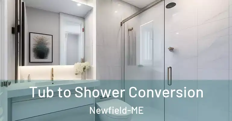 inner Bathroom imggen Tub to Shower Conversion Newfield-ME