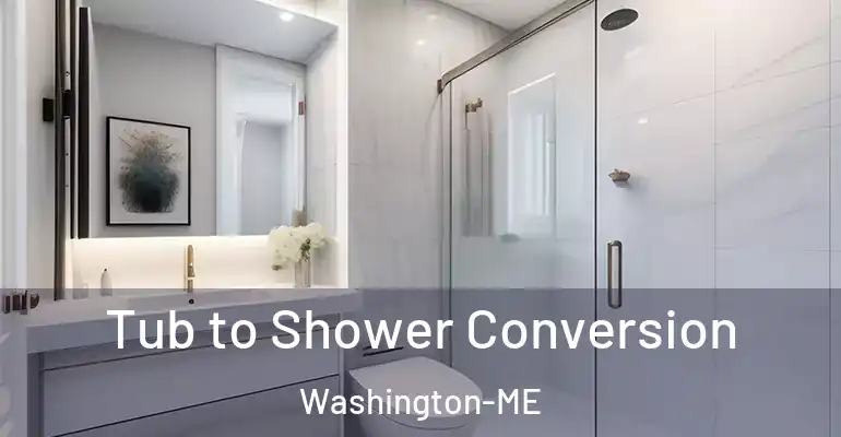 inner Bathroom imggen Tub to Shower Conversion Washington-ME