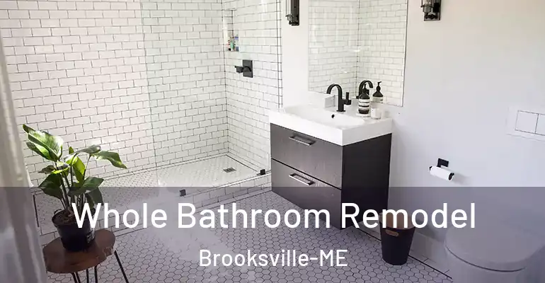 inner Bathroom imggen Whole Bathroom Remodel Brooksville-ME