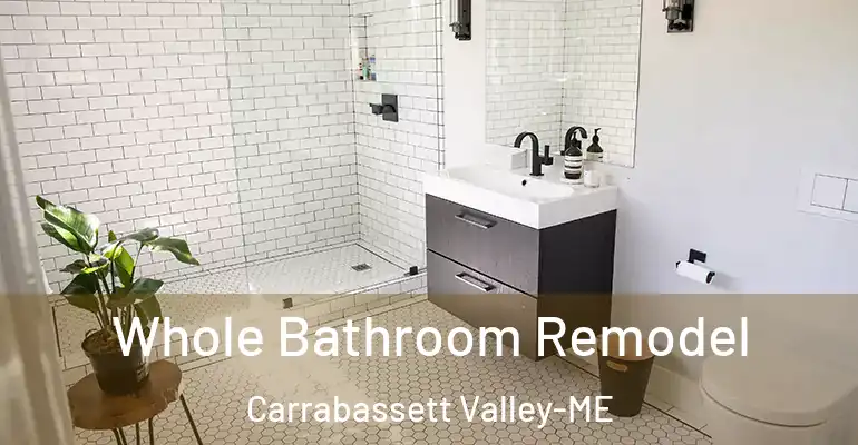 inner Bathroom imggen Whole Bathroom Remodel Carrabassett Valley-ME
